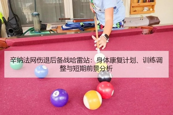 辛纳法网伤退后备战哈雷站：身体康复计划、训练调整与短期前景分析